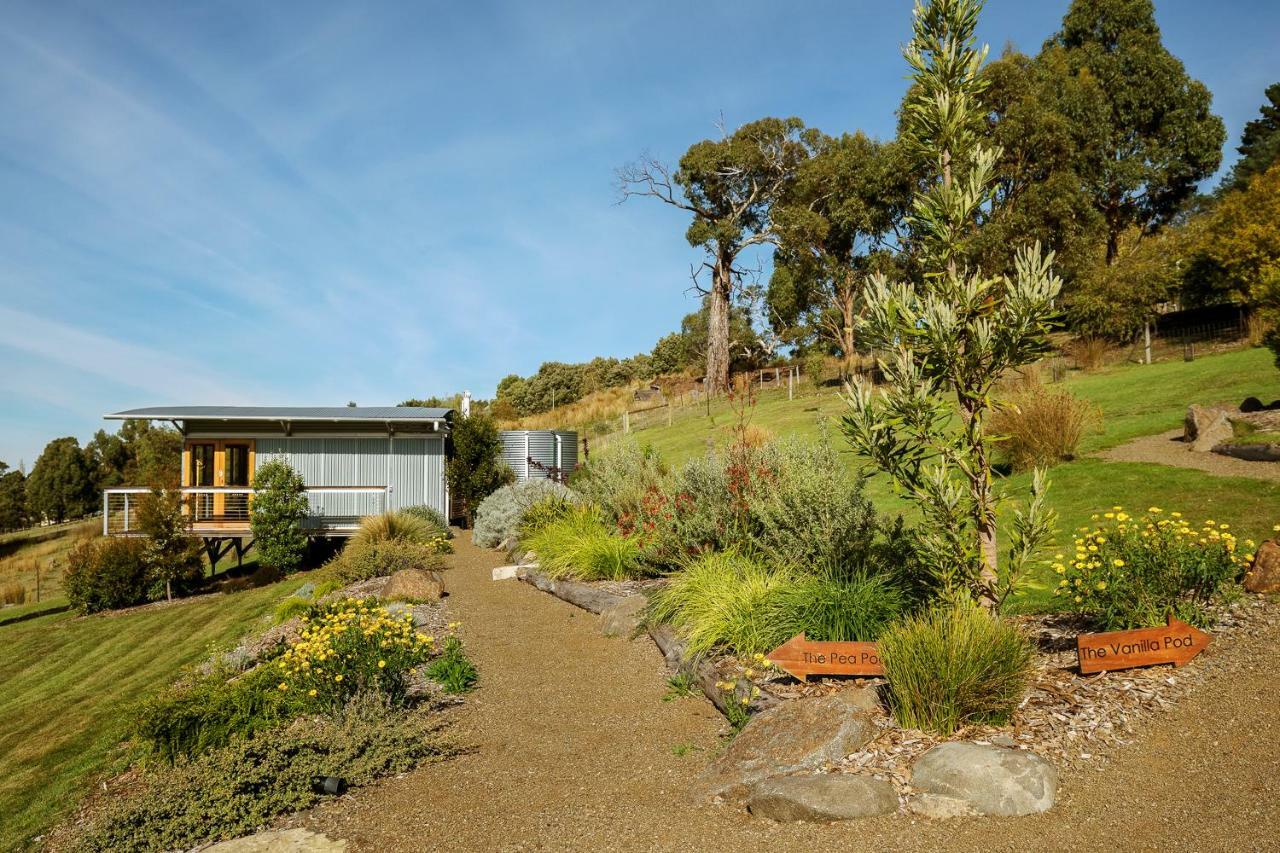 Hobart Hideaway Pods Bed & Breakfast Kingston Eksteriør bilde