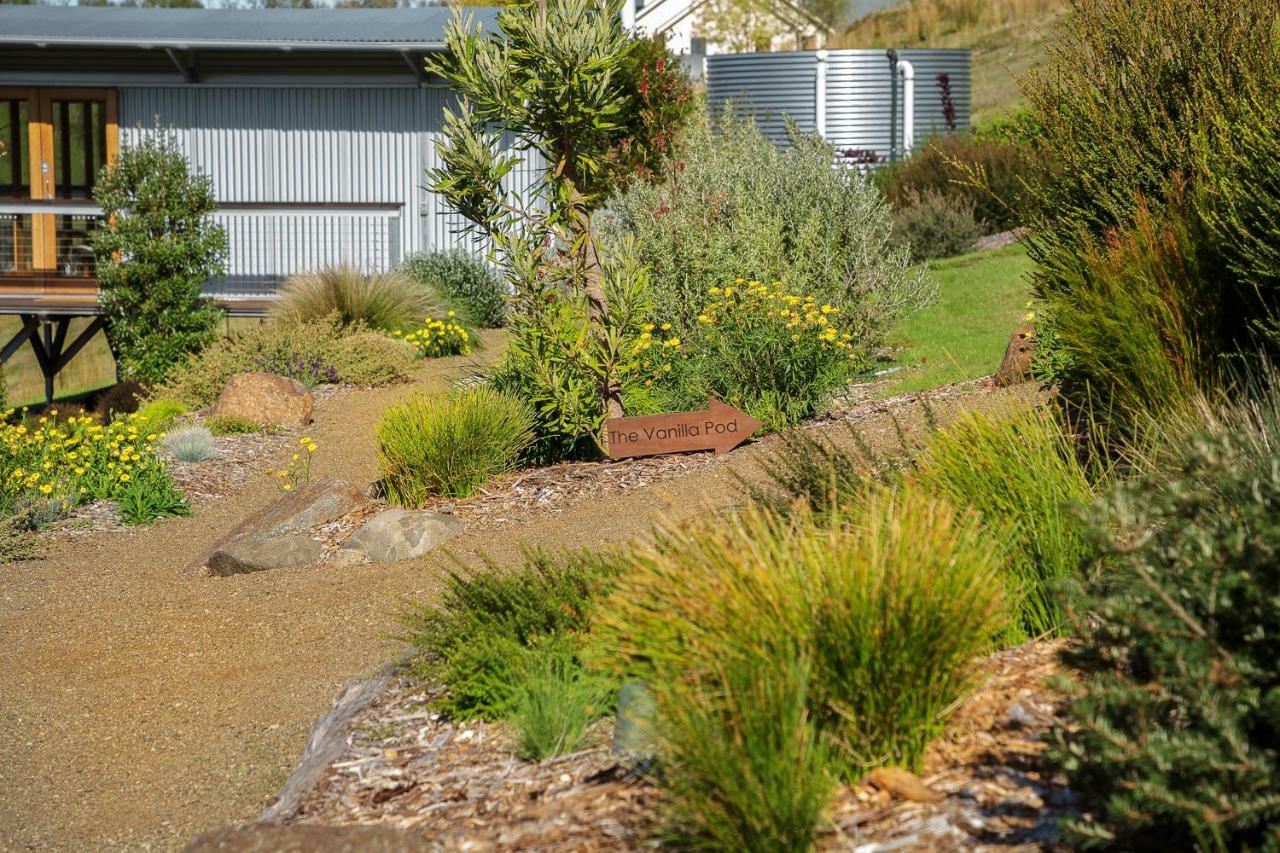 Hobart Hideaway Pods Bed & Breakfast Kingston Eksteriør bilde