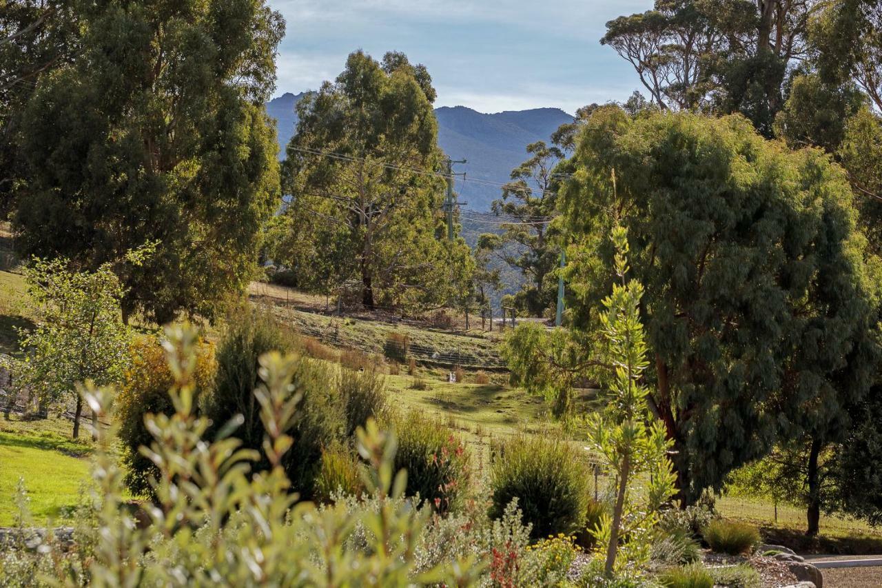 Hobart Hideaway Pods Bed & Breakfast Kingston Eksteriør bilde